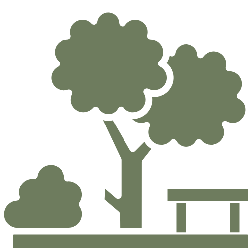 Cantine Medicee: vigneto panoramico con alberi e panchina, atmosfera rilassante.