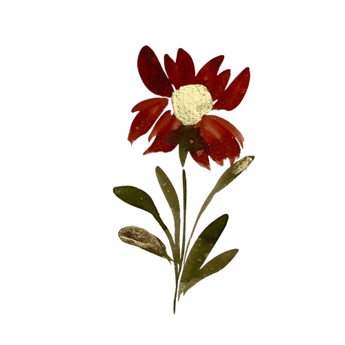 Fiore stilizzato rosso con foglie verdi su sfondo trasparente, simbolo di lusso a Palazzo Danesi, Montepulciano.