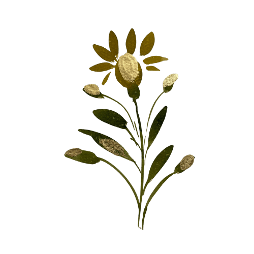 Palazzo Danesi a Montepulciano: esperienza di lusso e autenticità toscana presso Dimore Pulcino.